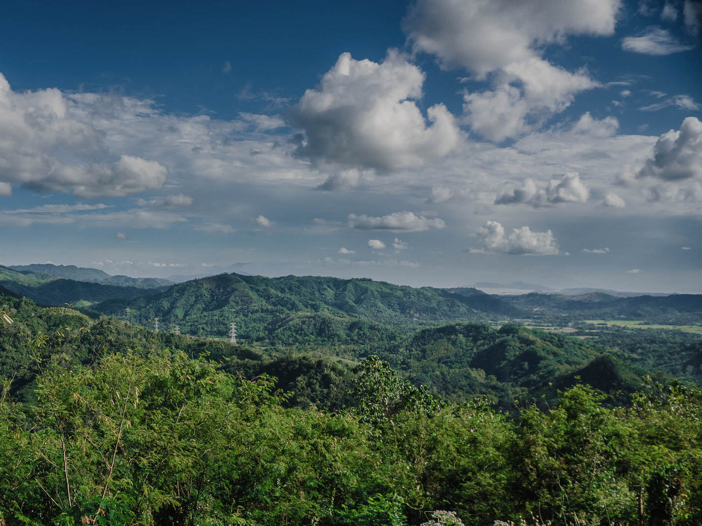 Toto Malvar of Mt. Purro Nature Reserve as a Case Study on How to ...